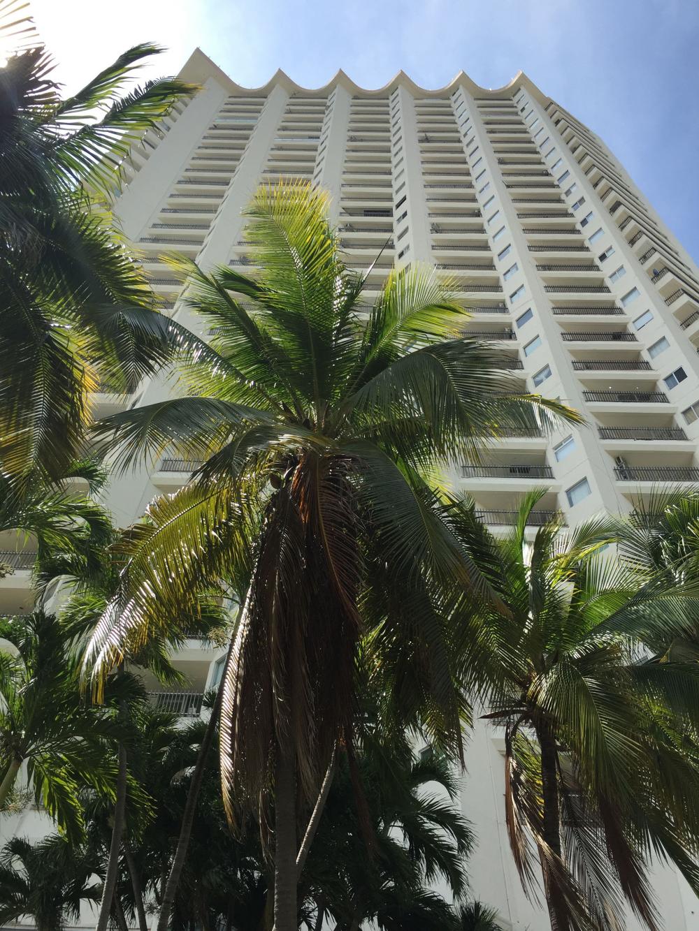 View of towering condo La Palapa from Fragata Yucatan street in Acapulco